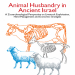 Aharon Sasson - Animal Husbandry in Ancient Israel. A Zooarchaeological Perspective on Livestock Exploitation, Herd Management and Economic Strategies (Approaches to Anthropological Archaeology) [Retail]